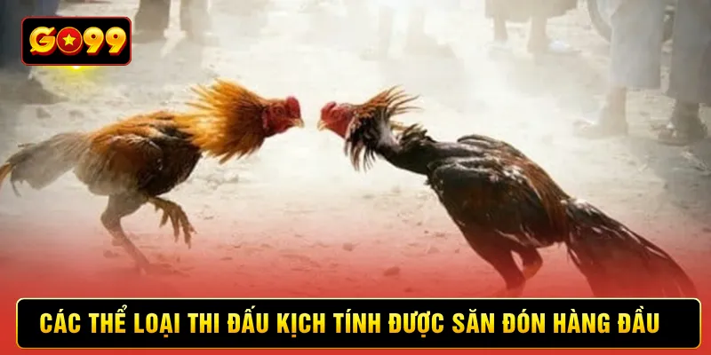 Các thể loại thi đấu kịch tính được săn đón hàng đầu