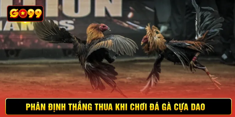 Phân định thắng thua khi chơi đá gà cựa dao